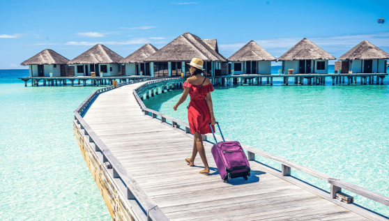 megnav img buy maldives 010126