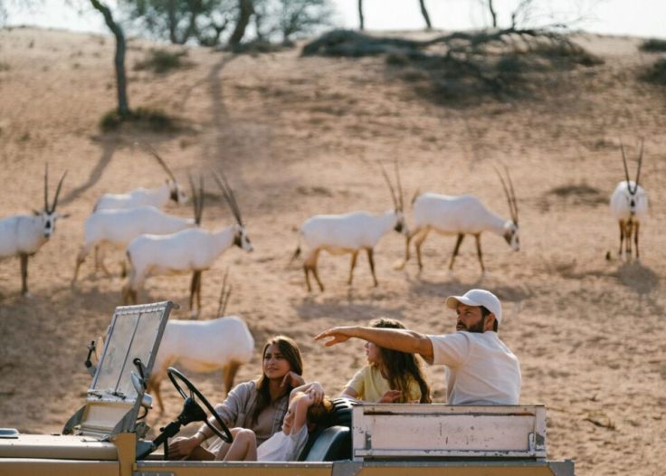 Safari 1024x683